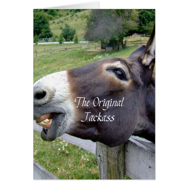 Det ursprungliga Jackass Funny Donkey Mule Farm An Hälsningskort (Framsidan)
