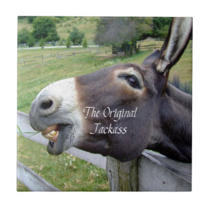 Det ursprungliga Jackass Funny Donkey Mule Farm An Kakelplatta