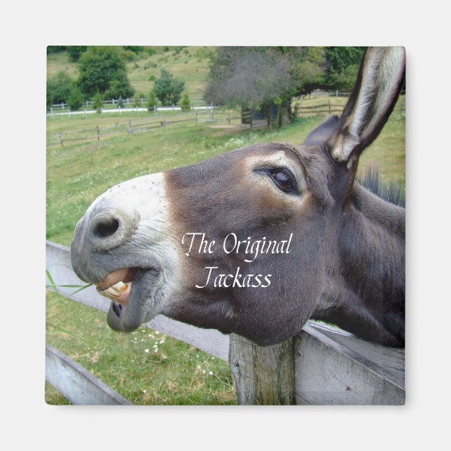 Det ursprungliga Jackass Funny Donkey Mule Farm An Magnet (Framsidan)