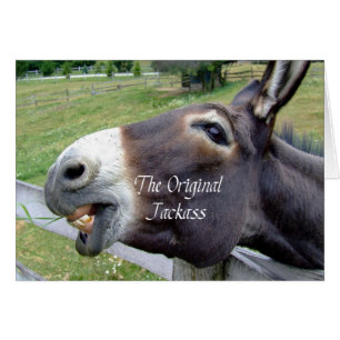 Det ursprungliga Jackass Funny Donkey Mule Farm An OBS Kort