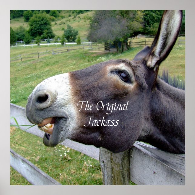 Det ursprungliga Jackass Funny Donkey Mule Farm An Poster (Framsidan)