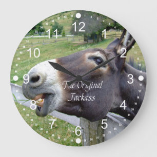 Det ursprungliga Jackass Funny Donkey Mule Farm An Stor Klocka