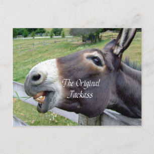 Det ursprungliga Jackass Funny Donkey Mule Farm An Vykort