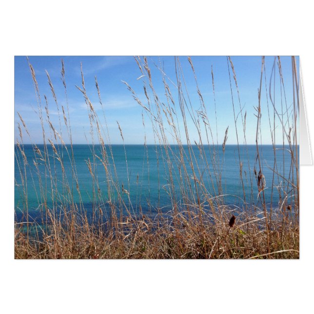 Det vackra Grass och havet Hälsningskort (Framsidan Horizontal)