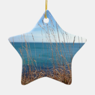 Det vackra Grass och havet Julgransprydnad Keramik