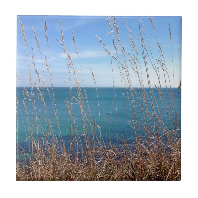 Det vackra Grass och havet Kakelplatta (Framsidan)