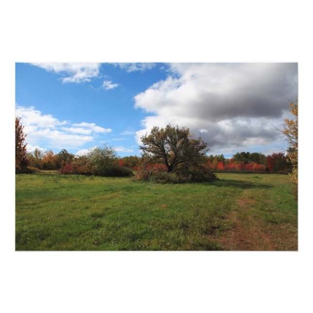 Det vackra land-landskapet Nova Scotia Fototryck (Framsidan)
