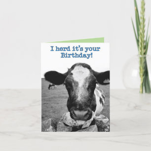 Det var din födelsedag - Cheeky Cow Kort