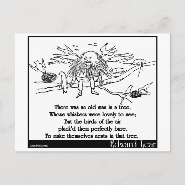 Det var en gammal man i träd vykort (Framsida)