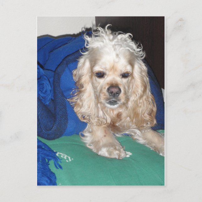 Det var en hård kväll vykort (Framsida)