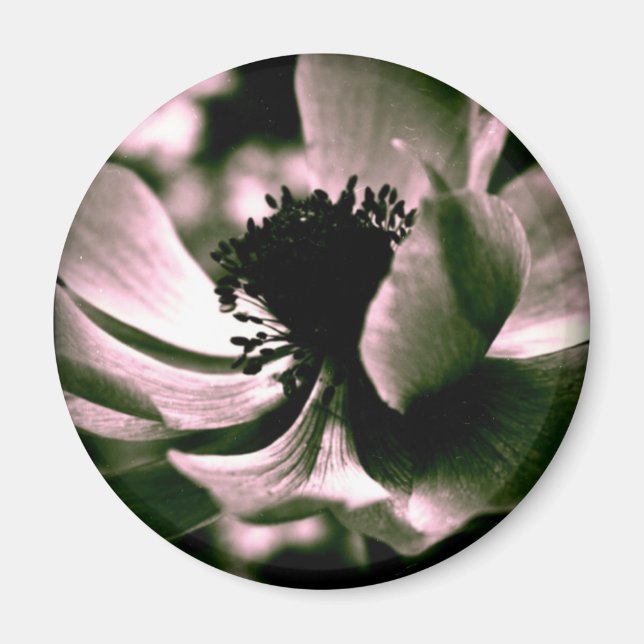 Det var en vacker dag. magnet (Framsidan)