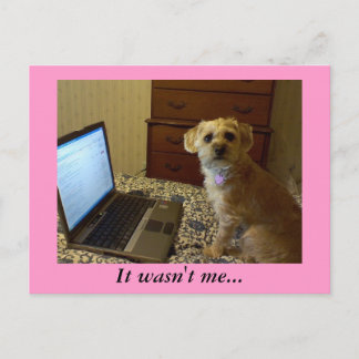 Det var inte jag... vykort
