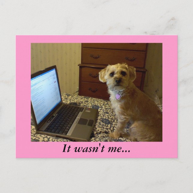 Det var inte jag... vykort (Framsida)