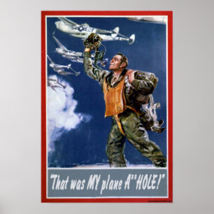 Det var mitt flygplan poster