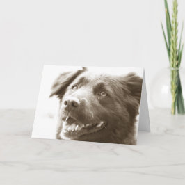 Det var underbart se dig! tack kort