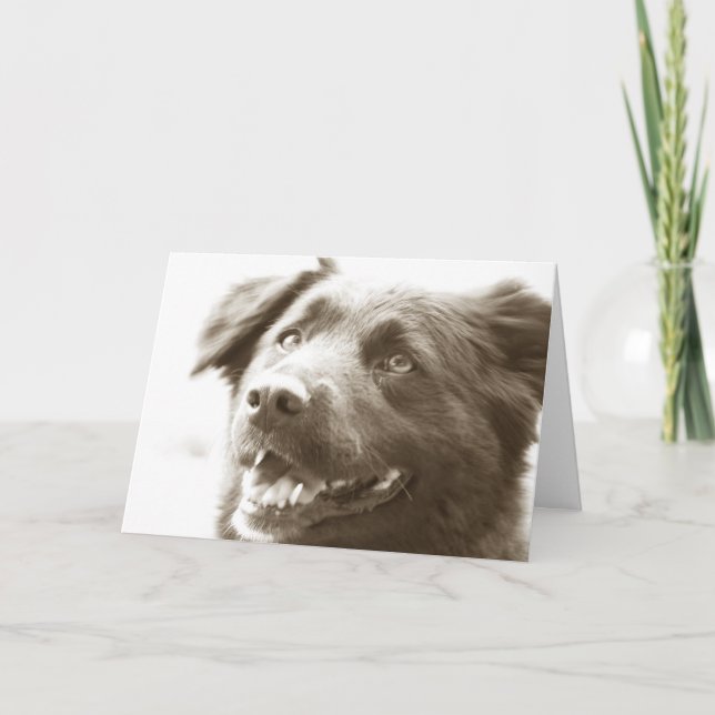 Det var underbart se dig! tack kort (Framsida)