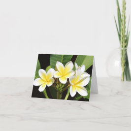 Det vietnamesiska frangipani-Tillfällen Notecard Tack Kort
