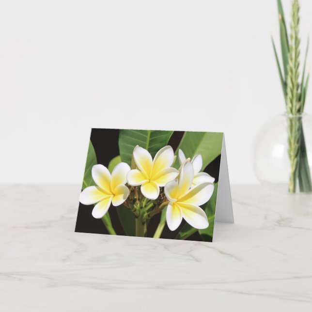 Det vietnamesiska frangipani-Tillfällen Notecard Tack Kort (Framsida)