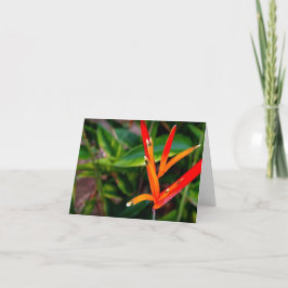 Det vietnamesiska Heliconia-Tillfällen Notecard Tack Kort