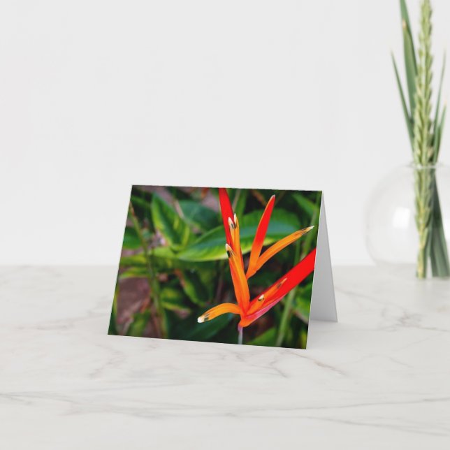 Det vietnamesiska Heliconia-Tillfällen Notecard Tack Kort (Framsida)