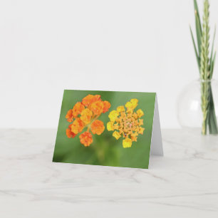Det vietnamesiska Tillfällen Lantana Notecard Tack Kort