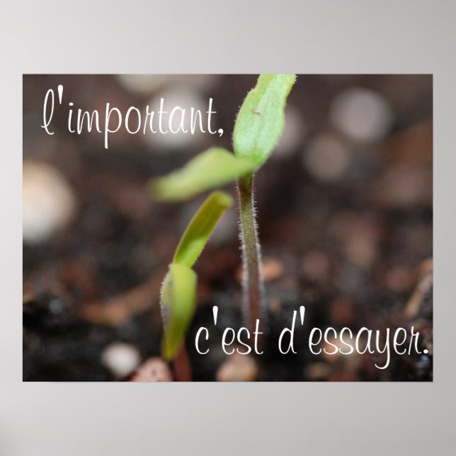 Det viktiga sak är att försöka Poster motiv (Framsidan)