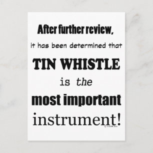 Det viktigaste instrumentet Tin Whistle Vykort