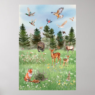 Det Vilda Livet Hos Skogsdjur Poster