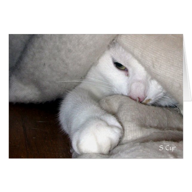 Det vita spelet, S Cyr Hälsningskort (Framsidan Horizontal)