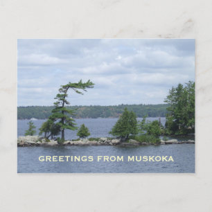 Det vridna träd, Muskoka, Ontario, Kanada Vykort
