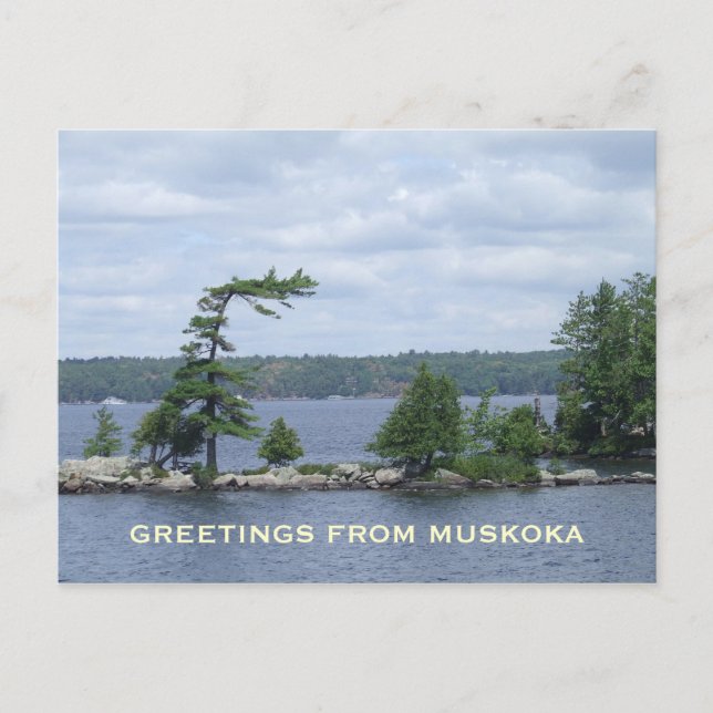 Det vridna träd, Muskoka, Ontario, Kanada Vykort (Framsida)