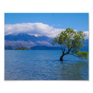 Det Wanaka träd, sjö Wanaka, NZ - fototryck
