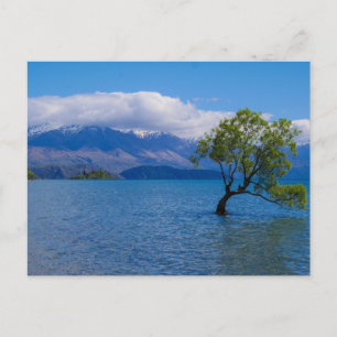 Det Wanaka träd, sjö Wanaka, NZ - vykort