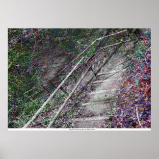 Det ytliga håret av Rowan Blair Colver Poster