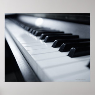 Detailed Piano Nycklar Poster