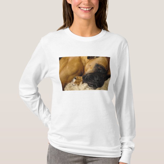 Detalj av en Boxer Tee Shirt (Framsida)