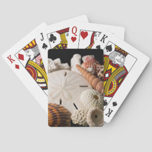 Detalj av snäckskal från hela världen casinokort