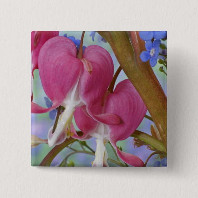 Detaljer om blödarhjärtan och Brunnera-Jack Knapp (Framsida)