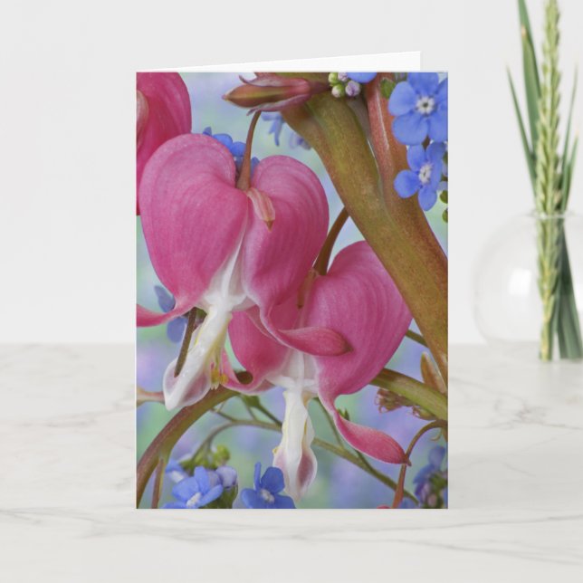 Detaljer om blödarhjärtan och Brunnera-Jack Kort (Framsida)