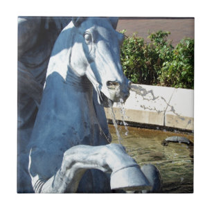 Detaljer om Neptune's Horse, Plaza Fontän Kakelplatta