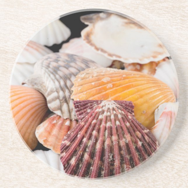 Detaljer om Seasheller från Värld runt 2 Underlägg Sandsten (Framsidan)