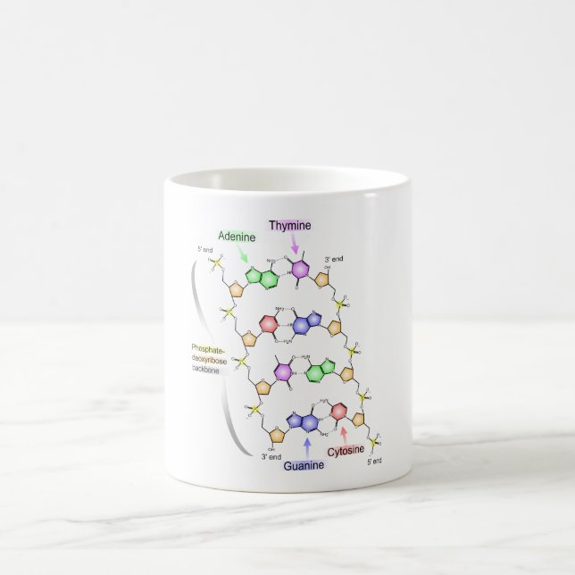 Detaljerad bild av DNA: s kemiska struktur Kaffemugg (Center)
