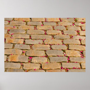 Detaljerad information om Cobblestone Walking Poster