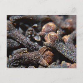 Detaljerad makrovy av kryddnejlika vykort