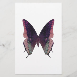 Detaljerad Rosa för fjäril