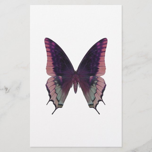 Detaljerad Rosa för fjäril (Framsida)