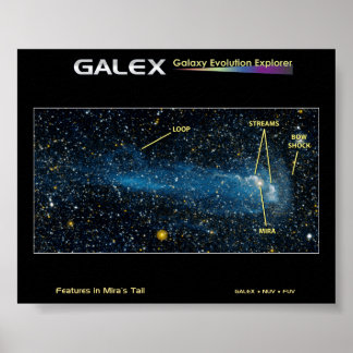 Detaljerad Star Mira med Svan Poster