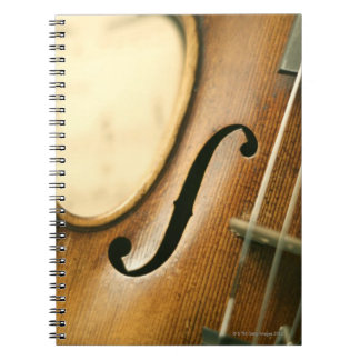 Detaljerad violin anteckningsbok