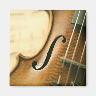 Detaljerad violin magnet
