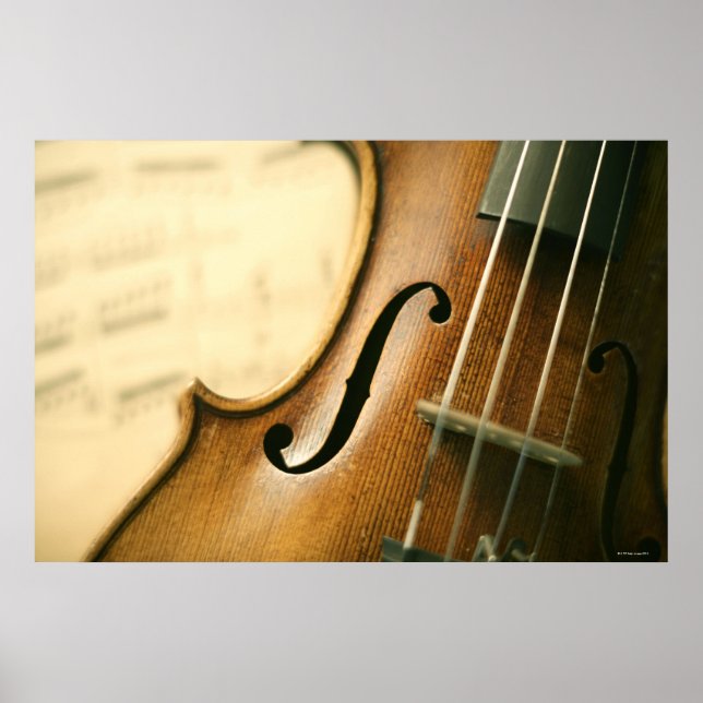 Detaljerad violin poster (Framsidan)